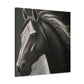 Pablo Clarance - Canvas