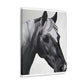 Shadow Steed. - Canvas