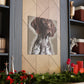Pointer Posh. - Canvas