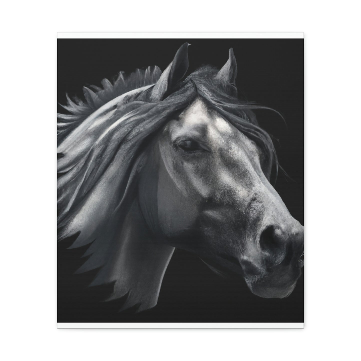 Midnight Mane - Canvas