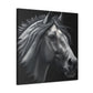 Midnight Mane - Canvas