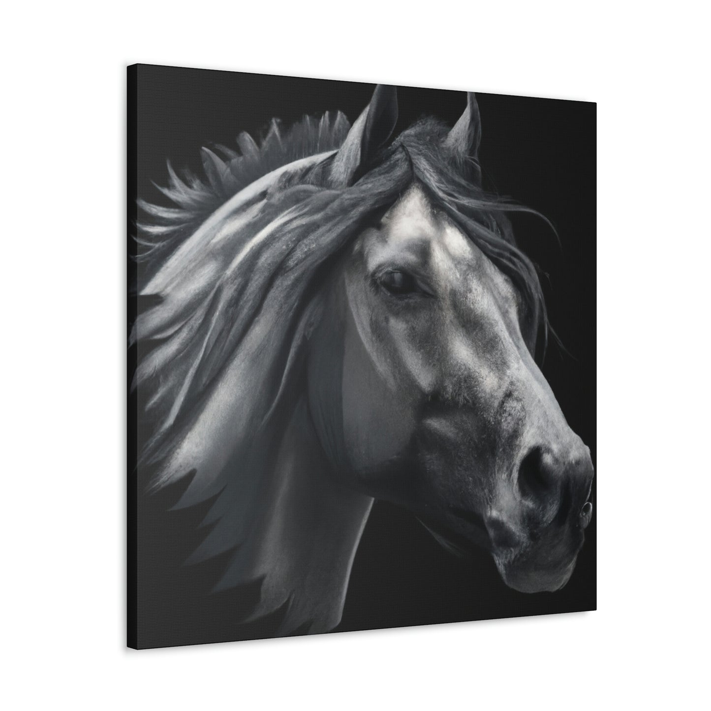 Midnight Mane - Canvas