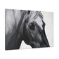 Shadow Steed. - Canvas
