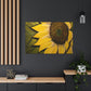Thomasina Masterson - Canvas