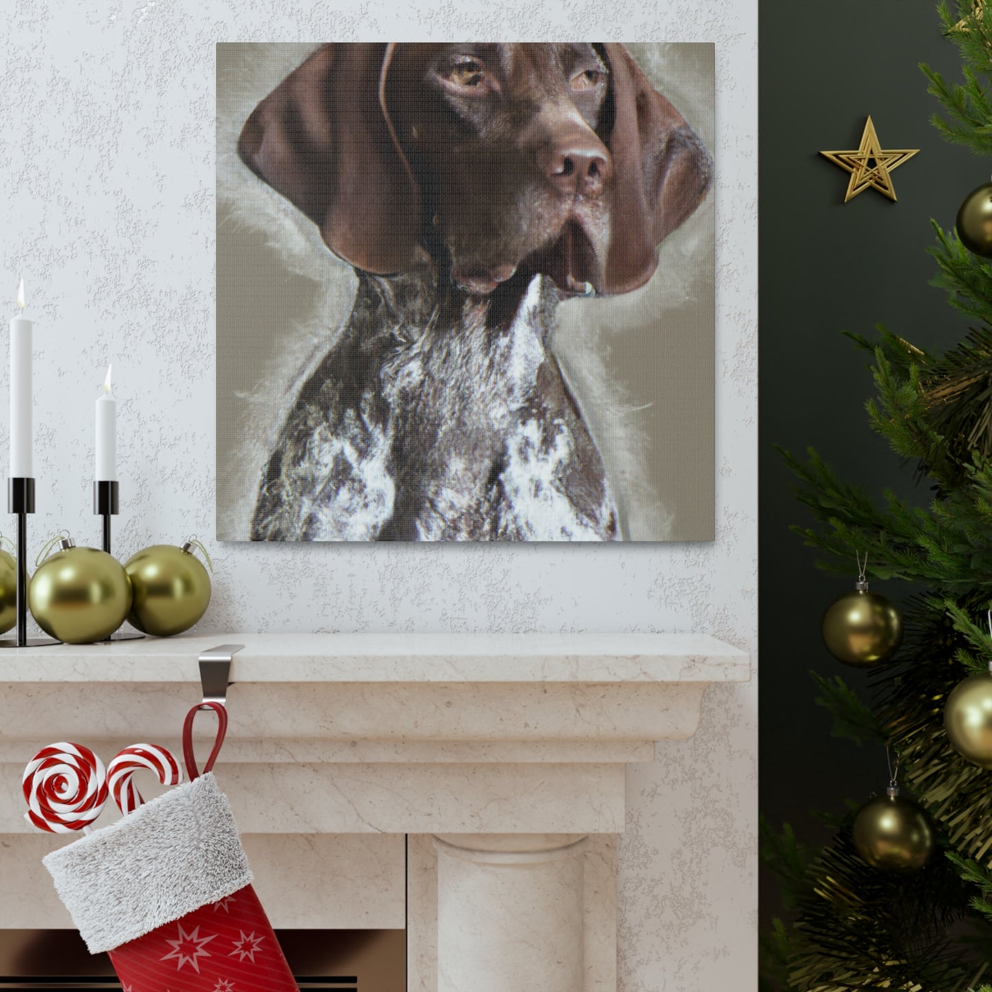 Pointer Posh. - Canvas