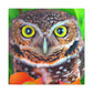 Owl Splendor. - Canvas