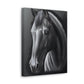 Ashen Majesty - Canvas