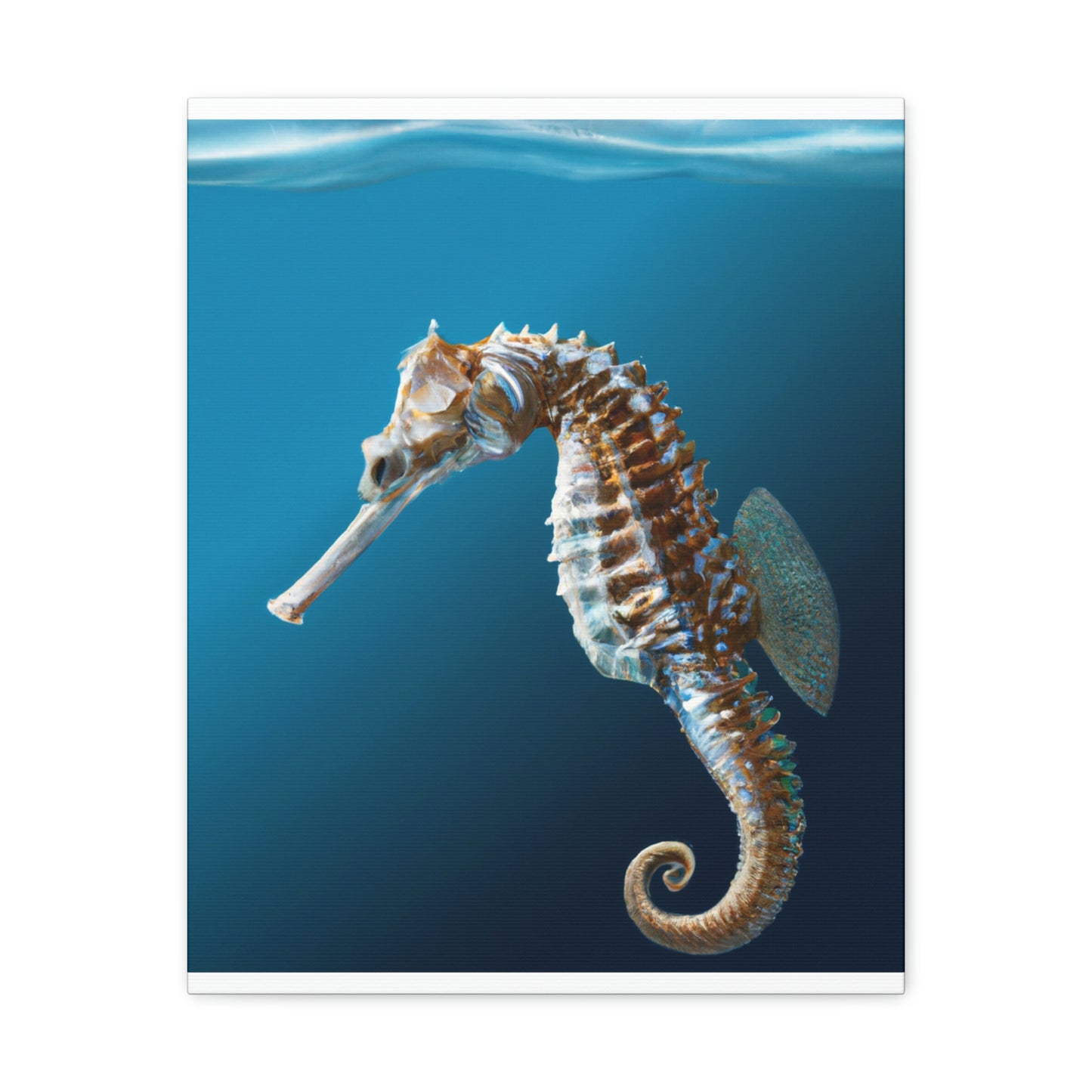Marine Sea Life - Canvas