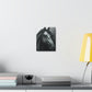 Dark Equus. - Canvas