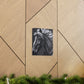 Equine Lattice - Canvas