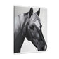 Shadow Steed. - Canvas