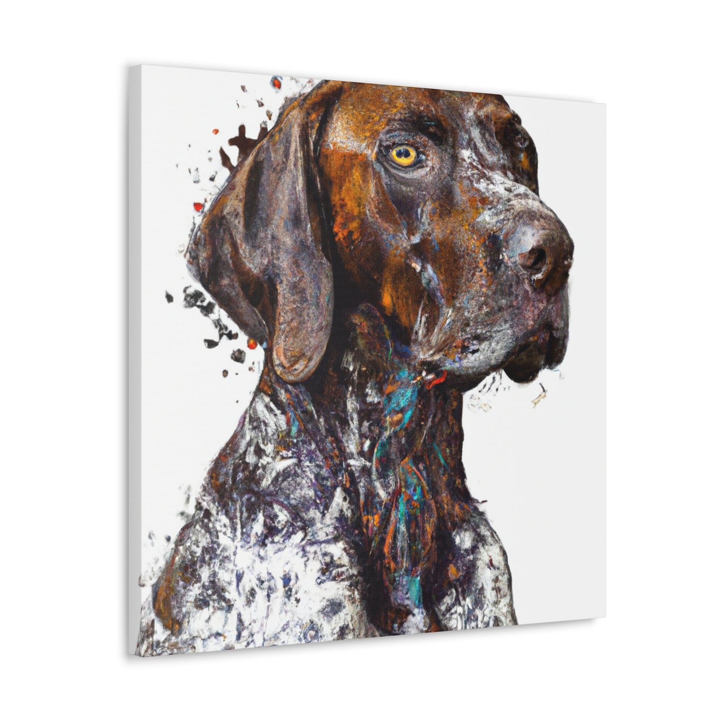 Furry Splendor. - Canvas