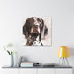 "Pointer Perfection" - Canvas