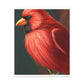 Redbird Sketch. - Canvas