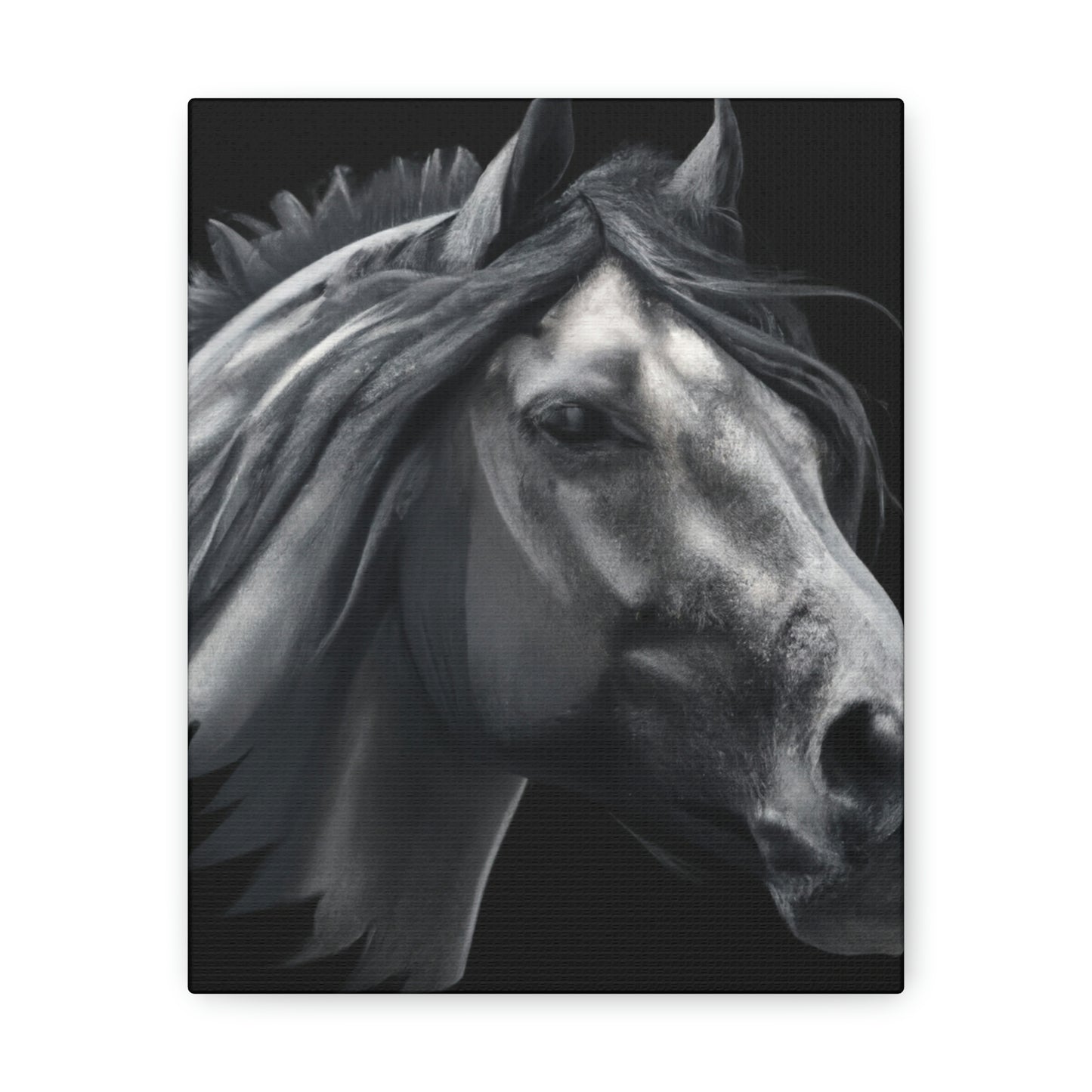 Midnight Mane - Canvas