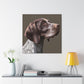 Pointer Perfection. - Canvas