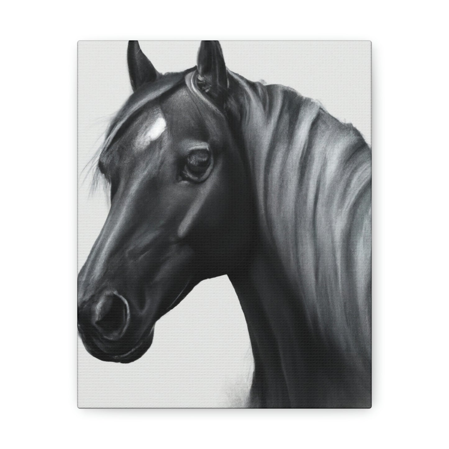 Marcia Masterson - Canvas