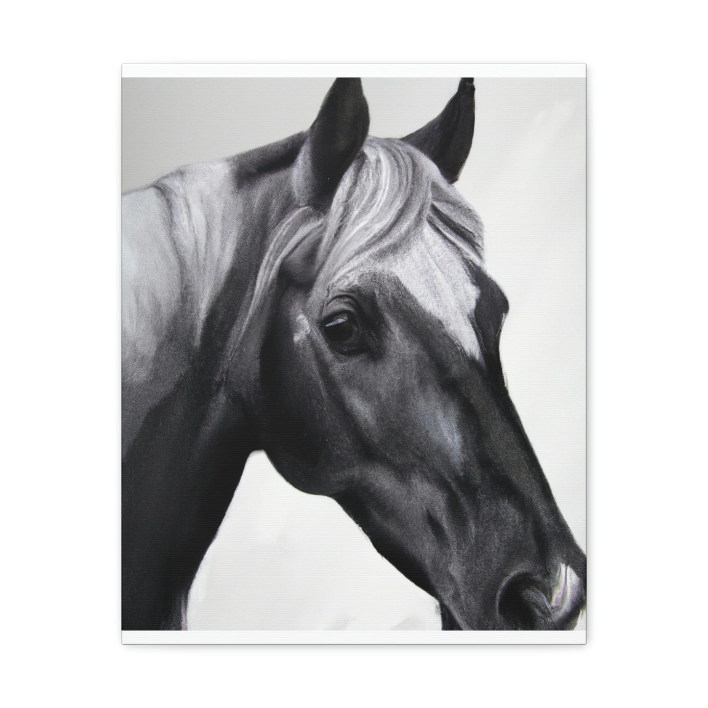 Shadow Steed. - Canvas