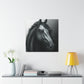 Dark Equus. - Canvas