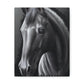 Ashen Majesty - Canvas