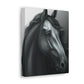 Dark Equus. - Canvas