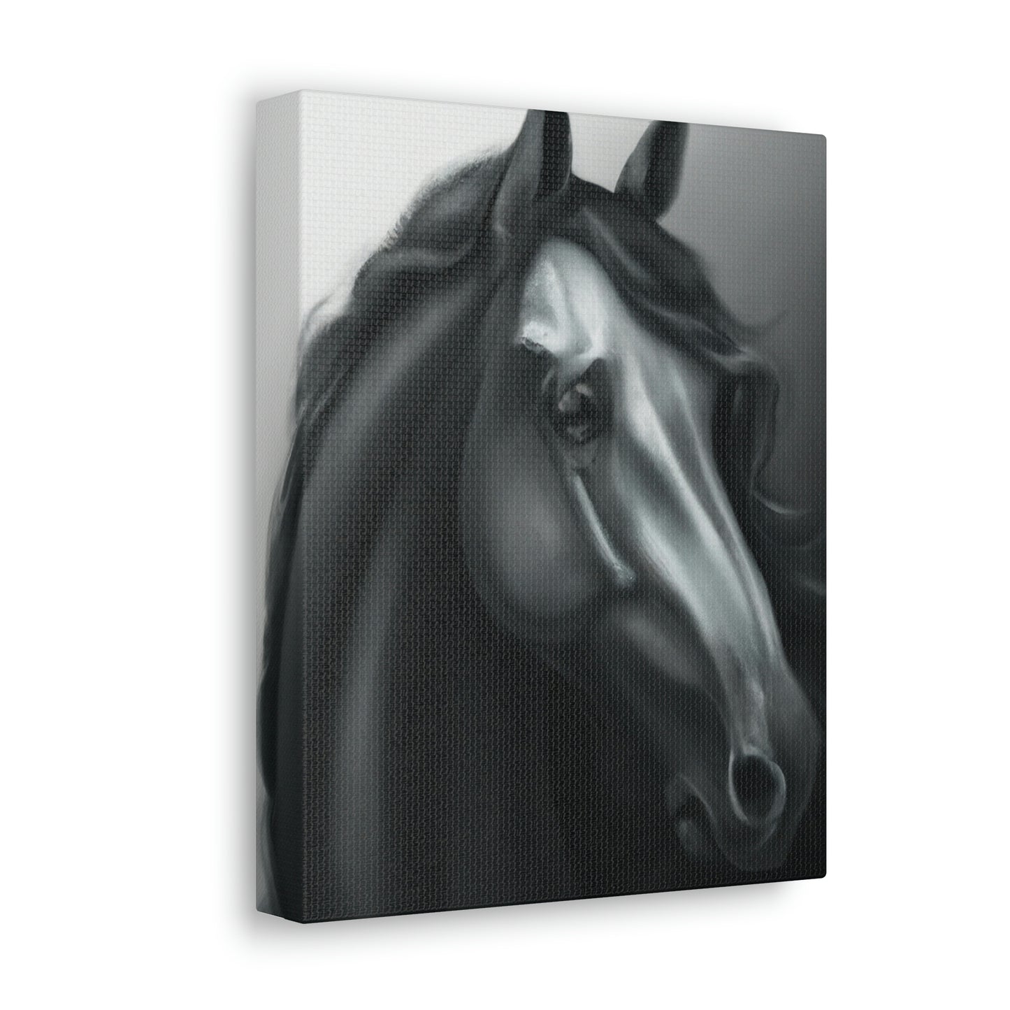Dark Equus. - Canvas
