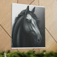 Dark Equus. - Canvas