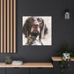 "Pointer Perfection" - Canvas