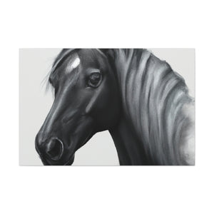 Marcia Masterson - Canvas