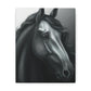 Dark Equus. - Canvas