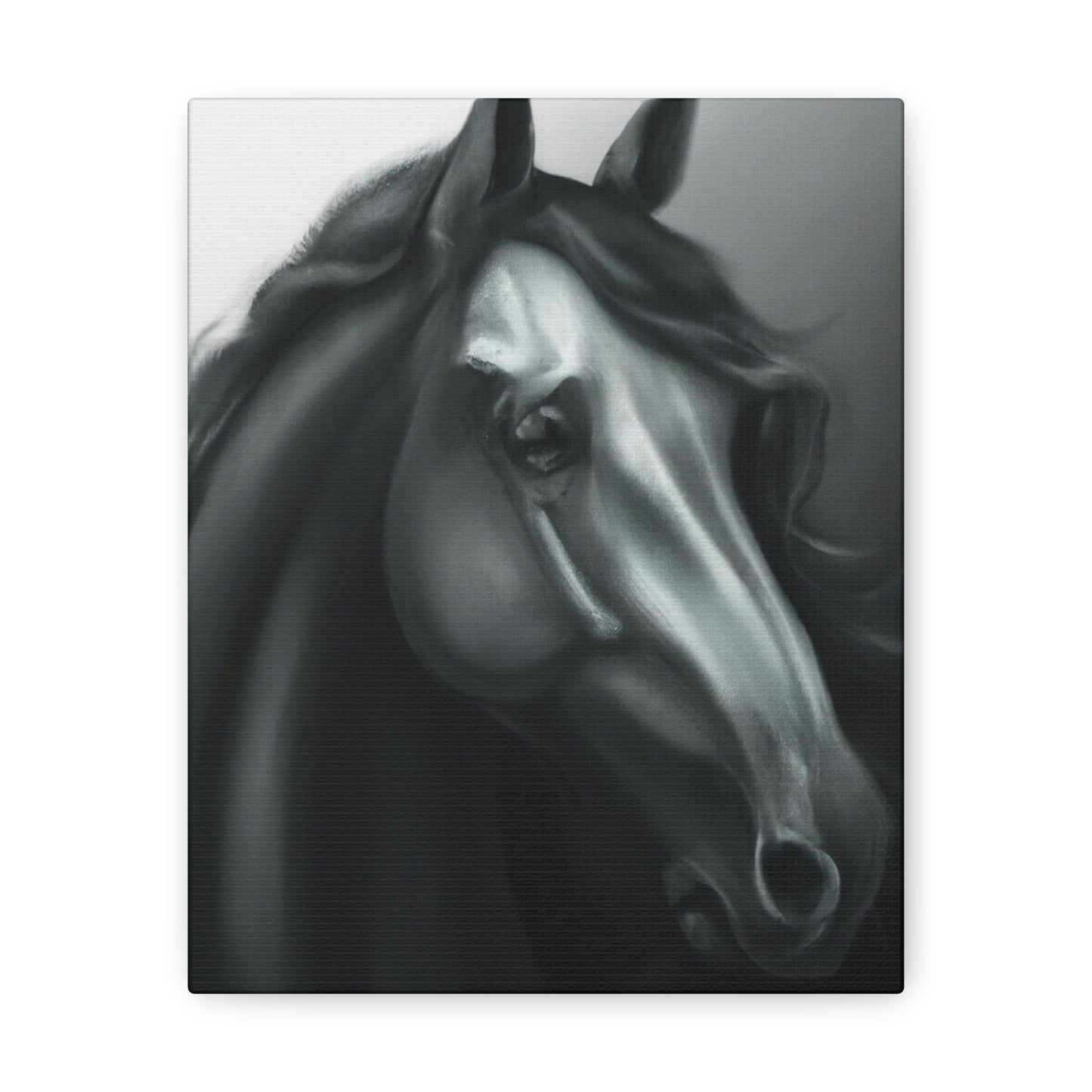 Dark Equus. - Canvas
