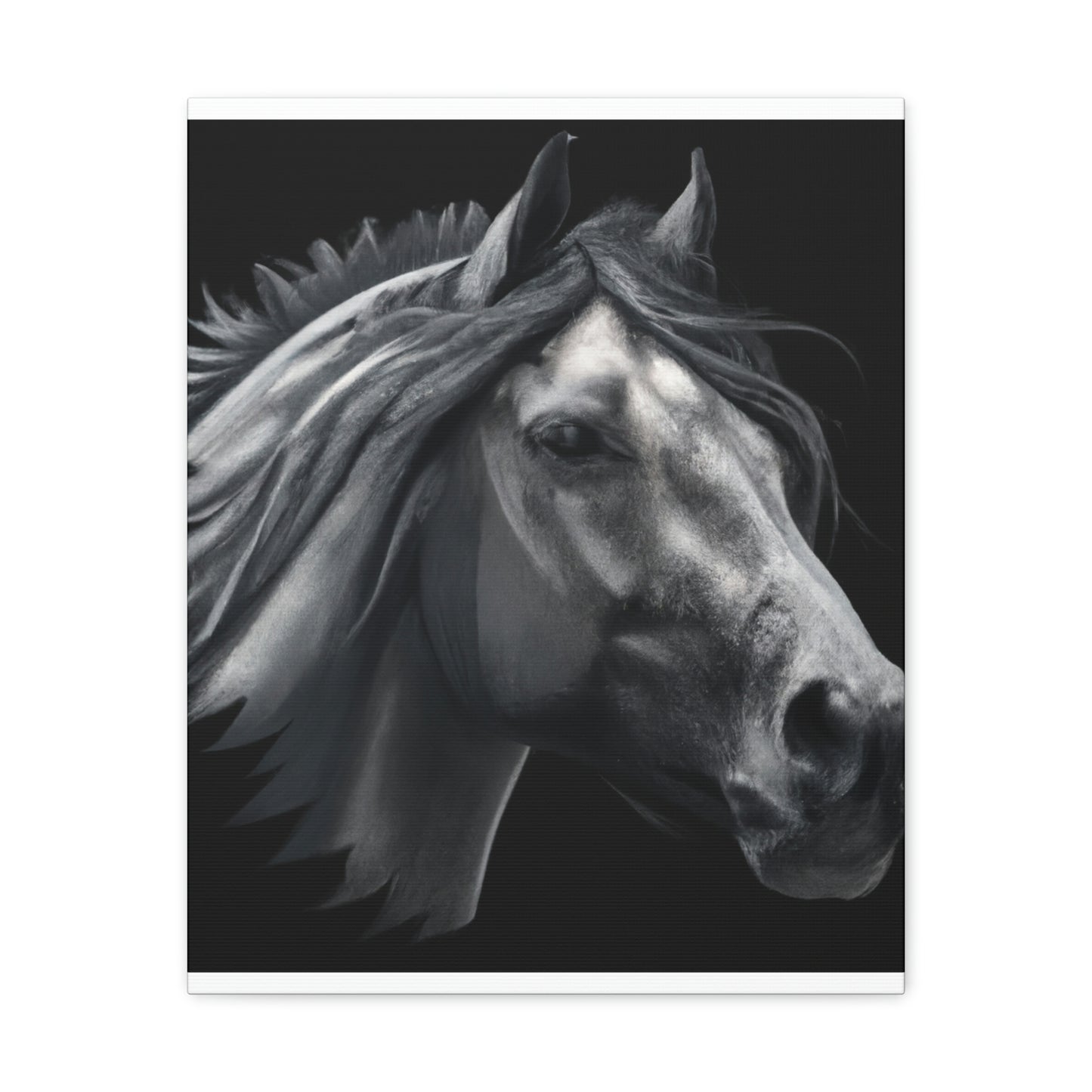 Midnight Mane - Canvas