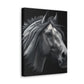 Midnight Mane - Canvas