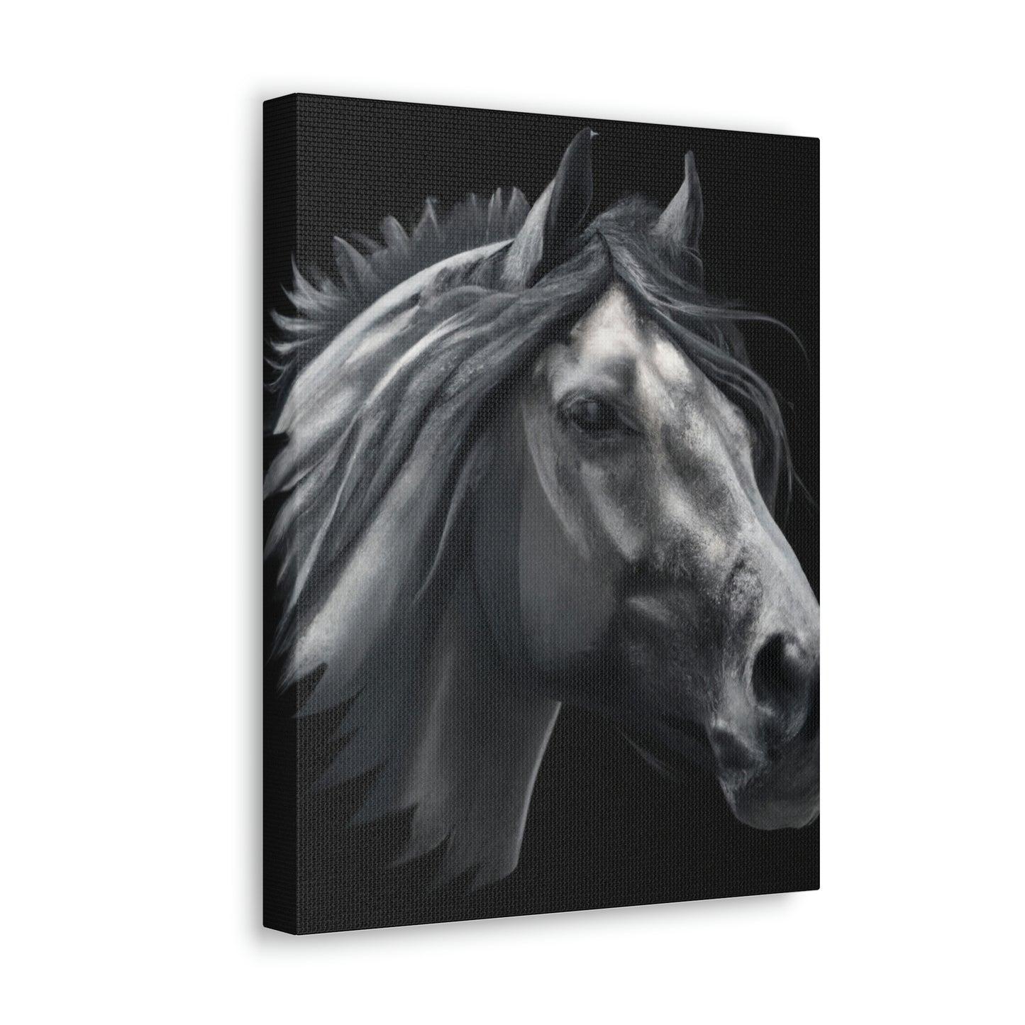 Midnight Mane - Canvas