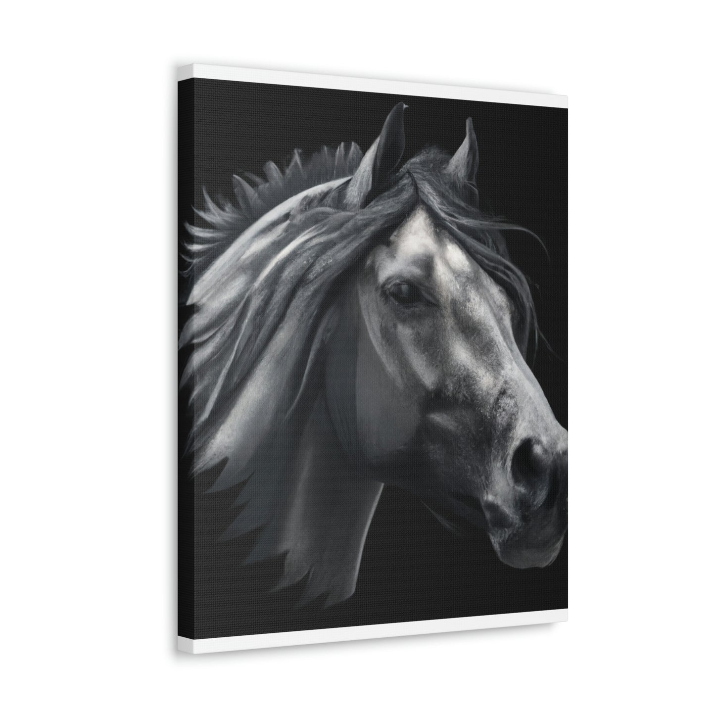 Midnight Mane - Canvas
