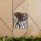 Pointer Posh. - Canvas