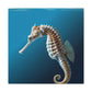Marine Sea Life - Canvas