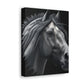 Midnight Mane - Canvas
