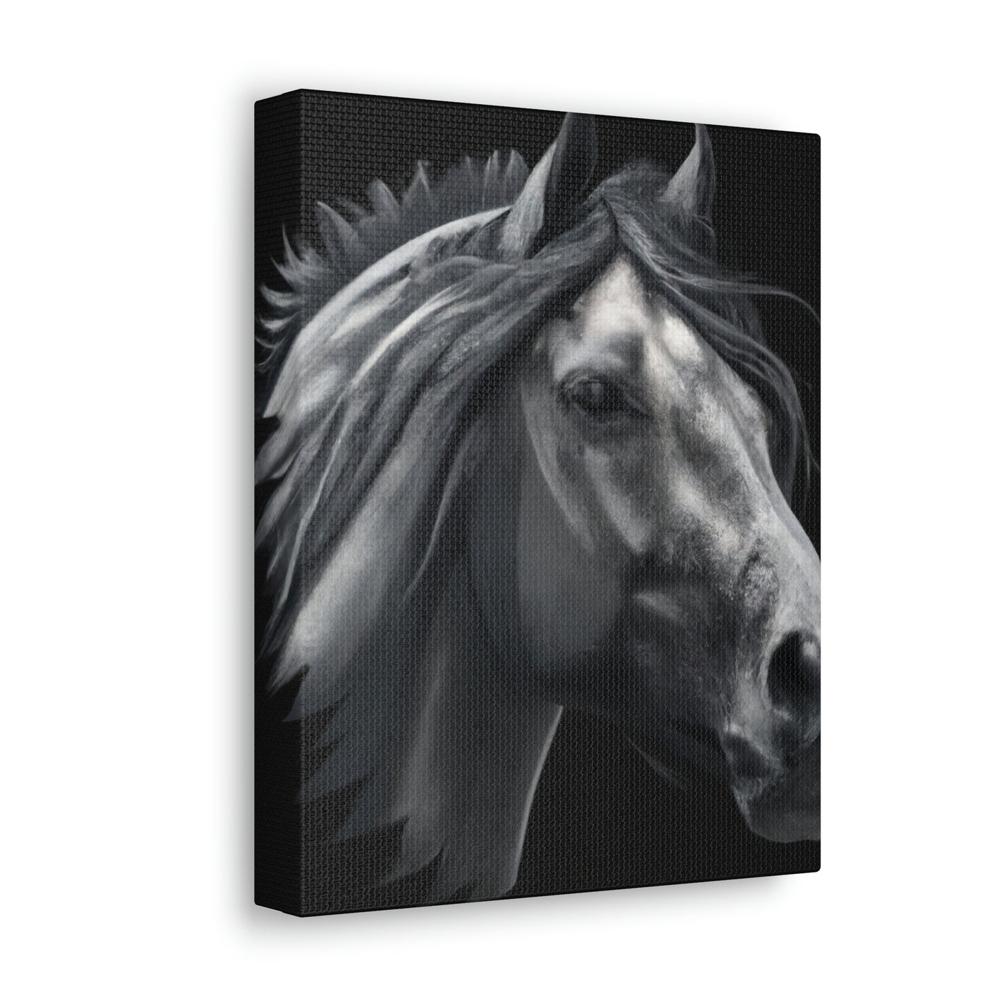 Midnight Mane - Canvas