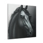 Dark Equus. - Canvas