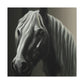 Vincent Varnel - Canvas