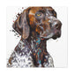 Furry Splendor. - Canvas