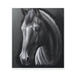 Ashen Majesty - Canvas