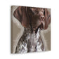 Pointer Posh. - Canvas