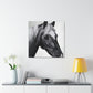 Shadow Steed. - Canvas
