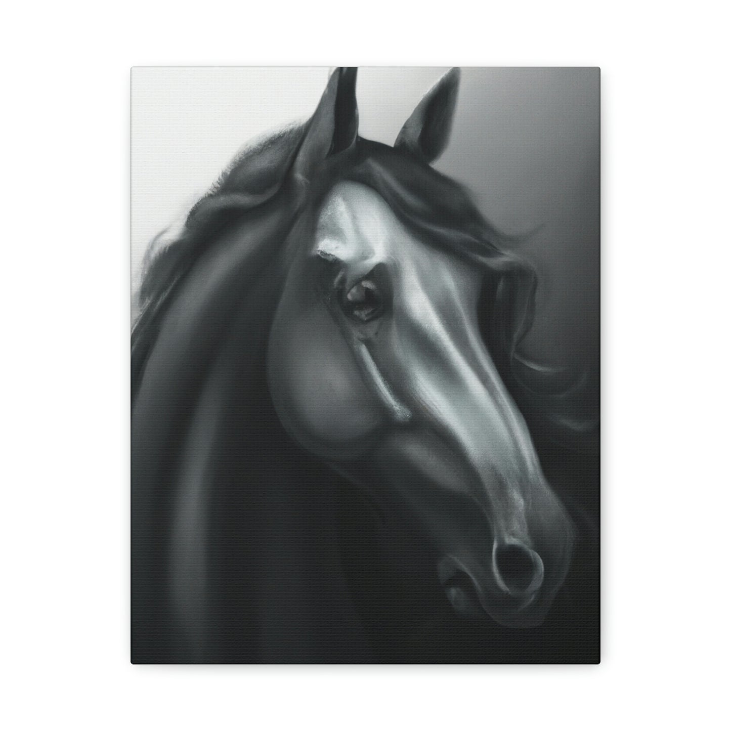 Dark Equus. - Canvas