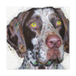 "Pointer Splendor" - Canvas