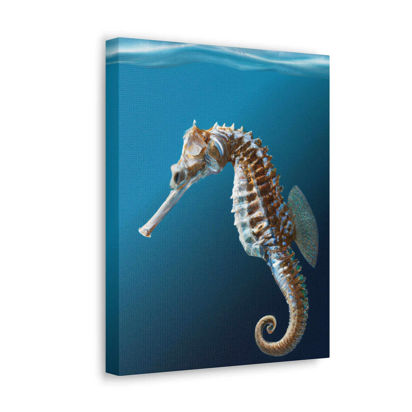 Marine Sea Life - Canvas