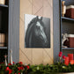 Dark Equus. - Canvas