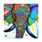 Vincente VanGraff - Canvas